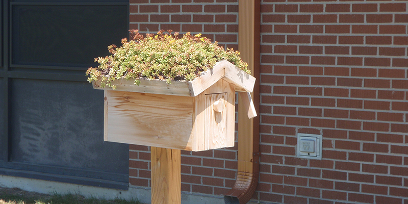 contact Green Roof Solutions