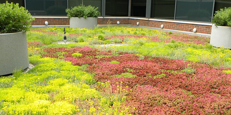 Green Roof Solutions drainage options for stormwater management and water retention.